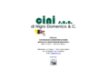 cinisnc.com