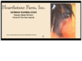 dressagehorse.com