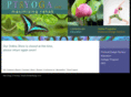ptandyoga.com