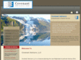 covenantadvisorsplanning.com