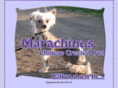 marachinos.com