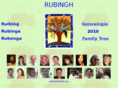 rubingh.com