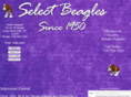 selectbeagles.com