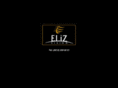 elizvision.com