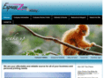 expresscopyandprinting.com