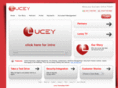 lucey.biz