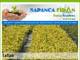 sapancafidan.com