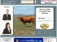 autoinsuranceamarillo.com