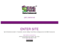 bigfishfolley.com