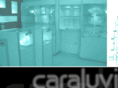 caraluvi.com