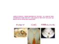 designsbygalpals.com