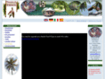 domainederobinson.com