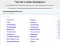 goldenbridgeslending.com
