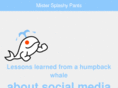 mistersplashypants.com