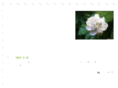 woocol.com