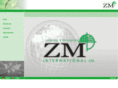 zm-consult.com