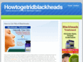 howtogetridblackheads.com
