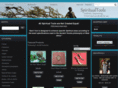 orishatools.com