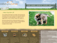 webdogs.com.au