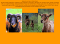 cairnomohrfarm.com