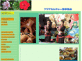 cultureschool.org