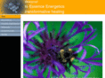 essenceenergetics.com