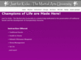 themartialartsuniversity.com