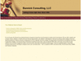 bannickconsulting.com