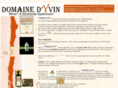 domainedyvin.com