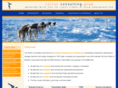 nortonconsultinggroup.com