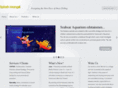 splashmango.com