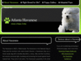 atlantahavanese.com