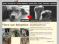 help-greek-dogs.com