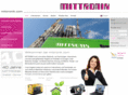 mittronik.com