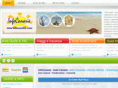 infocanarie.com