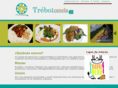 trebolcanela.com