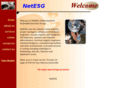 netesg.com