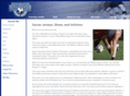 soccerdomain.org