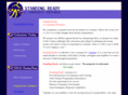 standingready.com