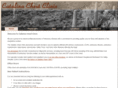 catalinachestclinic.com