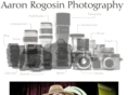 aaronrogosin.com