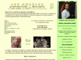 drlauriebinder.com