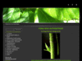 fengshui-authentic.com