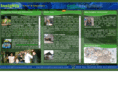insightsvenezuela.com