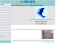 ito-ortho.com