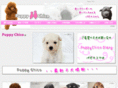 pchico.com