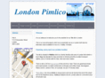 pimlicoflat.com