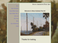 steveandrewsart.com