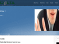 dallasbailbondcompany.com