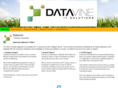 datavineit.com